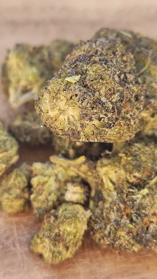 Fleur CBD Monster RVLT (3)
